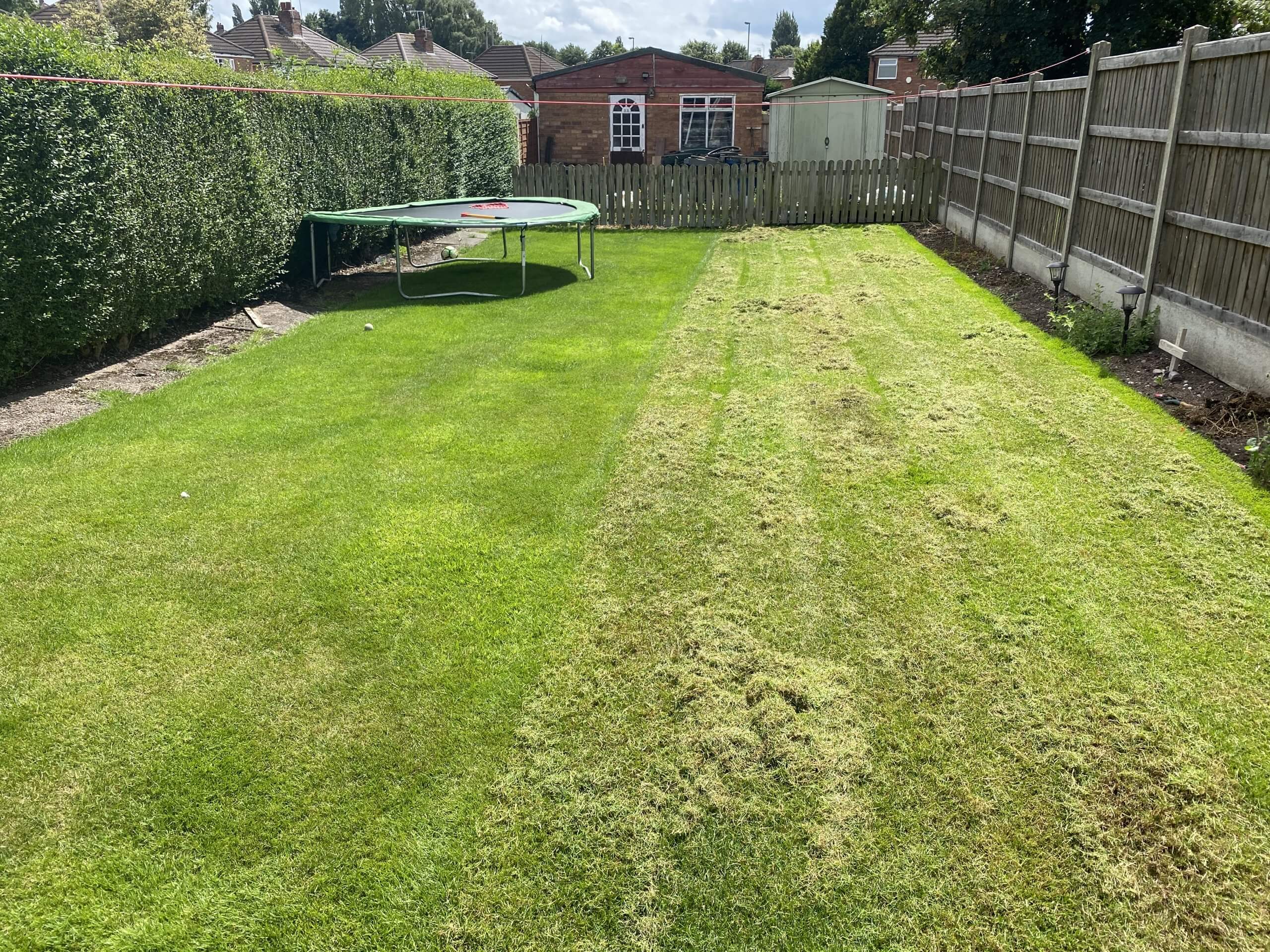 Lawn Scarification